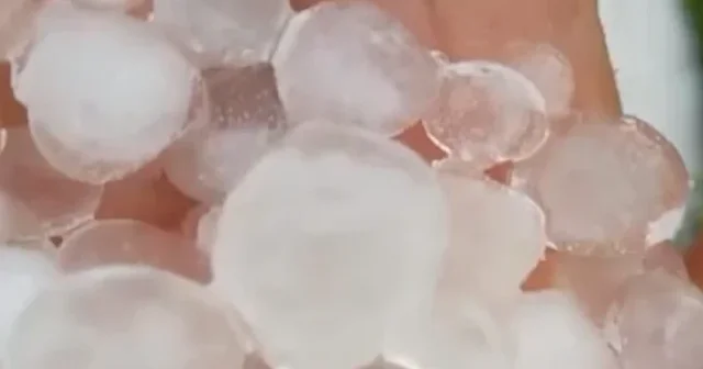 Hatay’da dolu felaketi: Kayısı bahçeleri yerle bir oldu VİDEO İZLE