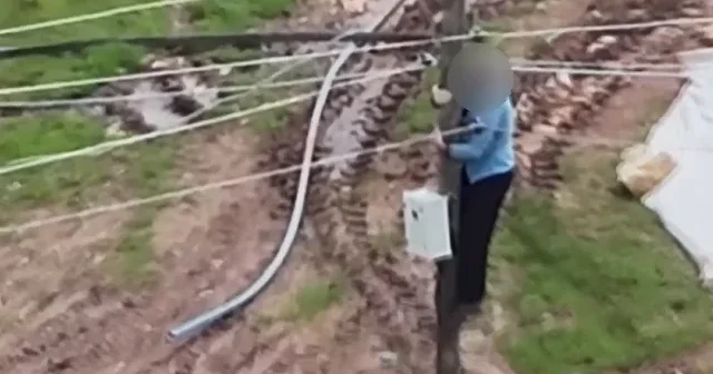Dron kontrolünü gören şahıs kaçak elektrik hattını sökmeye böyle koştu VİDEO İZLE