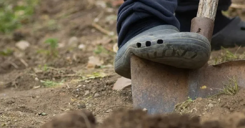 Bahçesini temizleyen kadın boy boy 17 bebek buldu: Korkunç gerçek toprak altında çıktı Sözcü Gazetesi