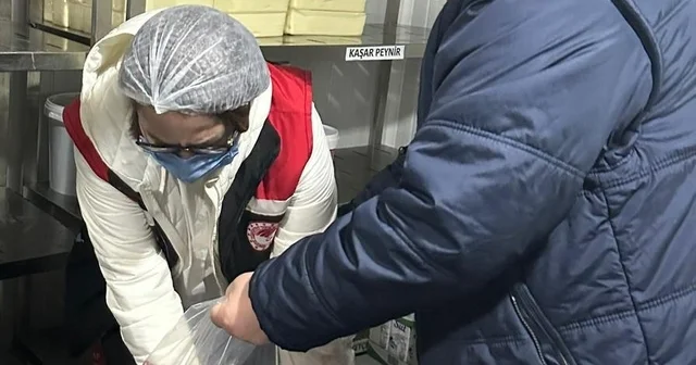 Amasya da süt ve süt ürünlerine denetim Amasya Haberleri