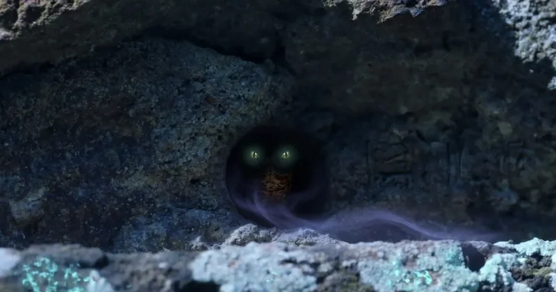 Yıllarca saklandı, sonunda bulundu: Dünyanın en nadir sürüngeni ortaya çıktı Sözcü Gazetesi