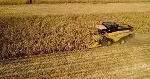 TÜİK: Tarımsal girdi fiyatları şubatta arttı