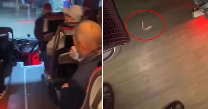 Muavin otobüste düşen takma dişin sahibini aradı: Bahattin ağabey dişin ağzında mı?