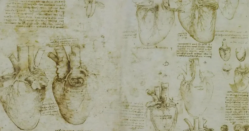 Da Vinci nin sırrı 500 yıl sonra çözüldü: Kalp hastalığını yıllar önce keşfetmiş