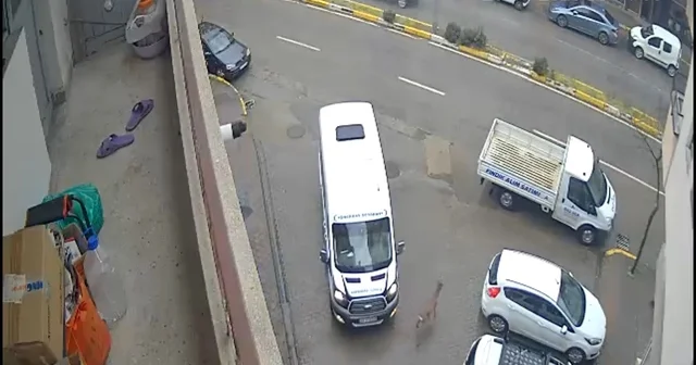 Karaca Giresun un Görele ilçesinde şehir merkezine indi: iki araca çarptı, gözden kayboldu Giresun Haberleri