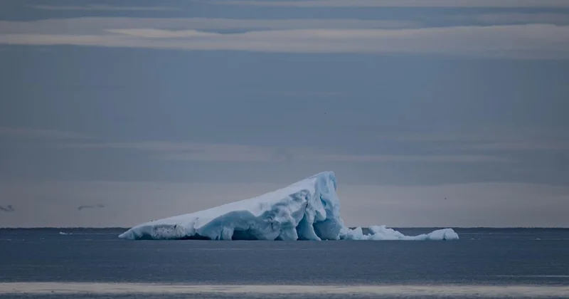 Arktik deniz buzundaki kayıp hızlı biçimde artıyor