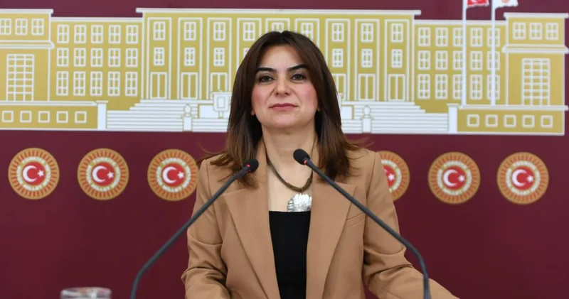 DEM Parti den süreç açıklaması: Çeşitli gerekçelerle geciktirilmesini doğru bulmuyoruz