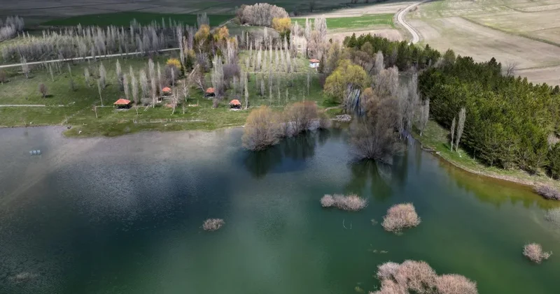 Sivas ta 10 yıllık kuraklık çilesi bitti: 4 baraj tamamen doldu