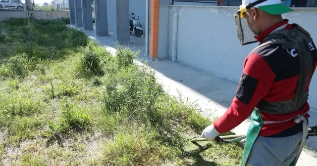 İncirliova da okul bahçeleri temizlendi Aydın Haberleri