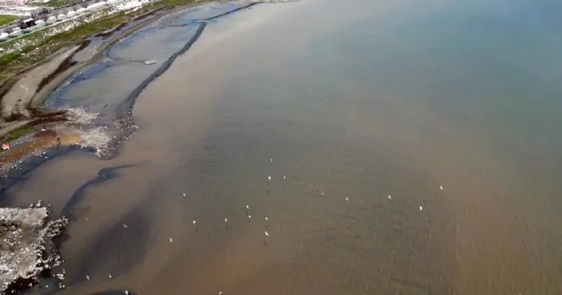 Yağışların ardından Van Gölü iki farklı renge bölündü