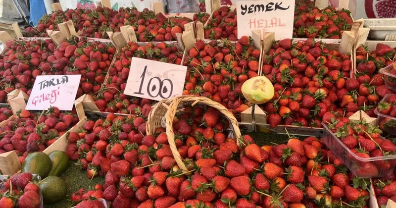 Yaz meyveleri tezgahlara çıktı! Çilek 100 lira, erik 200 lira...