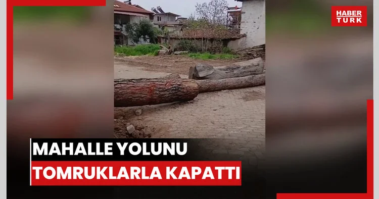 Mahalle yolunu tomruklarla kapattı