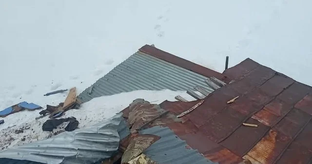 Gümüşhane yaylalarında ayı dehşeti devam ediyor Ayılar Yücebelen Yaylası nda çatıdan girdiği yayla evini kullanılamaz hale getirdi Gümüşhane Haberleri