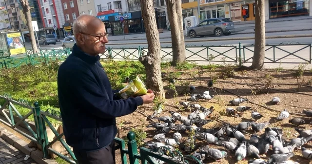 Dükkanının önüne gelen onlarca güvercini doyuruyor Güvercinlerin Burhan dedesi Eskişehir Haberleri