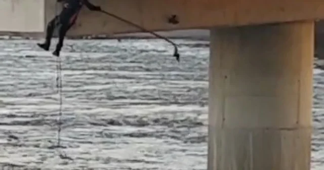 Asılı kalan güvercini halatla inip kurtardılar Bursa Haberleri