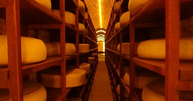 Kars Peynir Müzesi turistlerin gözdesi oldu Kars Haberleri