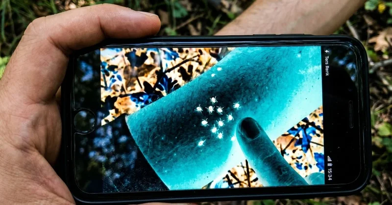 Keneleri fark etmek artık çok kolay: Telefonunuzda bu modu açın Sözcü Gazetesi