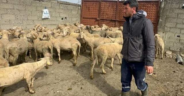 Kurbanlık parasıyla evlenmişti şimdi doğacak bebeği için kullanacak Bursa Haberleri