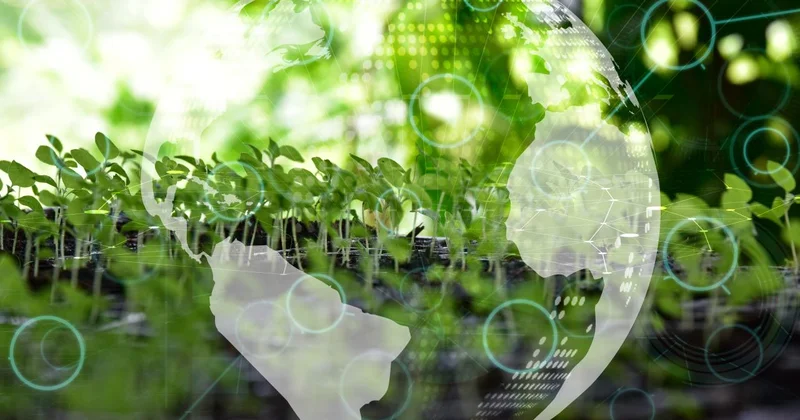 COP31 ev sahibi Türkiye kararların uygulamaya alınmasına odaklanacak