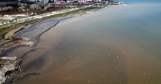 Van Gölü kıyılarında suyun rengi kahverengiye döndü Van Haberleri