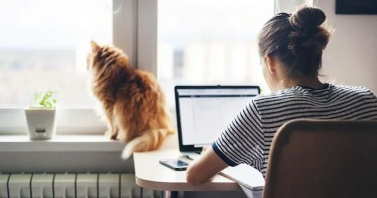 AB’den enerji krizine evden çalışma formülü