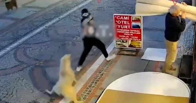 Edirne’de sahipsiz köpek korku saçtı: Elinden ve kalçasından ısırılan genç can havliyle dükkana sığındı VİDEO İZLE