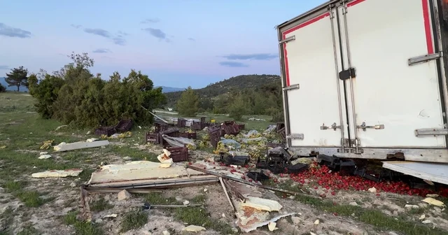 Freni boşalan sebze yüklü TIR ağaca çarparak durabildi Mersin Haberleri