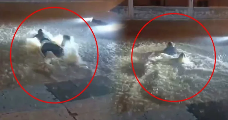 Mardin’de akılalmaz anlar! Göle dönen sokakta yüzdü