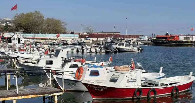 Balık hiç tutulmuyor sananlar yanılıyor! Tezgahlar boş kalmayacak