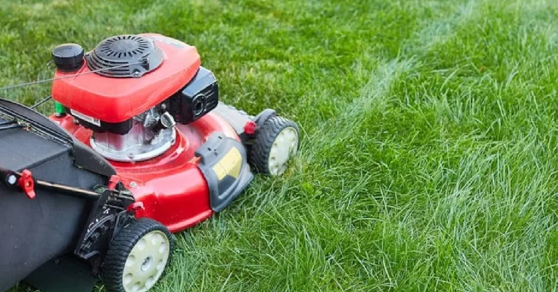 Çim biçerken külçe külçe altın buldu: Tam 2 milyon değerinde Sözcü Gazetesi