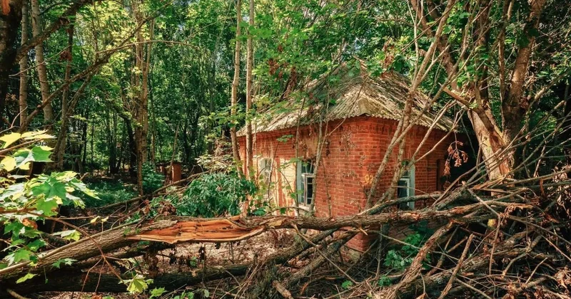 Nükleer patlamaya rağmen hayatta kaldılar Sözcü Gazetesi