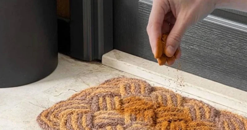 Kapıya bir avuç tarçın serpin o sorundan sonsuza dek kurtulun Sözcü Gazetesi