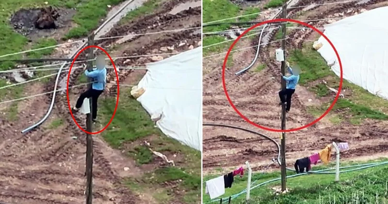 Dronu görünce kaçak hatları iptal etti