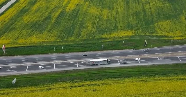 Tekirdağ’da kanola tarlaları yolları renklendirdi VİDEO İZLE