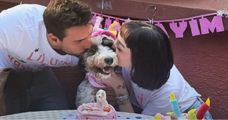 Yılmaz Kunt ile Alya Şahinler barıştı Magazin haberleri