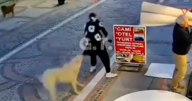 Başıboş köpek dehşeti: Elinden ve kalçasından ısırıldı