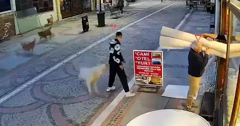 Sokak köpeğinin saldırısında yaralandı; o anlar kamerada