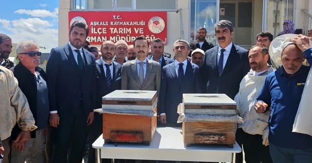 Aşkale de arıcılığa büyük destek: 50 üreticiye hibeli kovan dağıtıldı Erzurum Haberleri