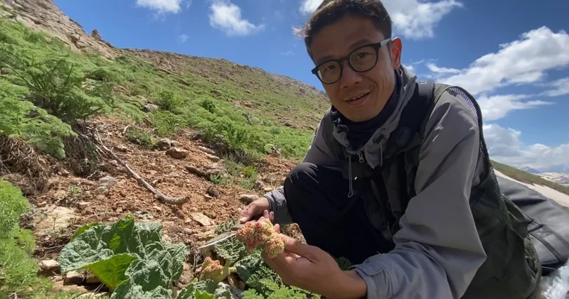 Japonya dan Yüksekova ya doğa yolculuğu