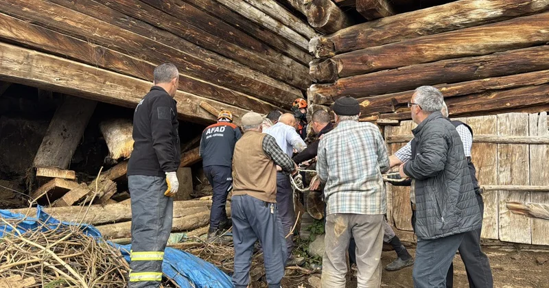 Kastamonu da çöken ahırın enkazı altında kalan kadın öldü