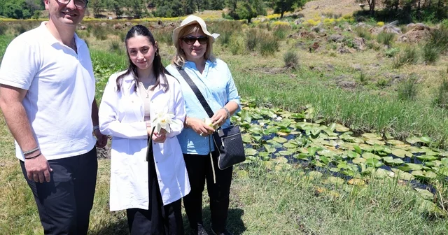 MSKÜ nün iki projesine uluslararası kongrede birincilik ödülü Muğla Haberleri