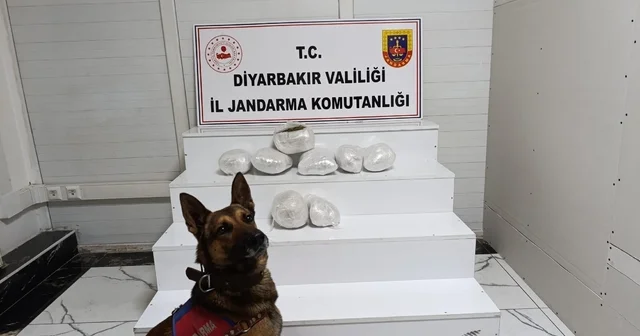 Diyarbakır da narkotik operasyonu: 150 şüpheli hakkında yasal işlem Diyarbakır Haberleri