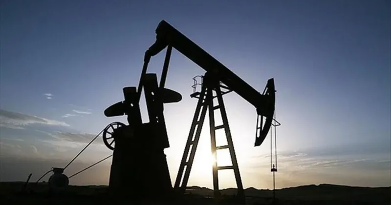 Türkiye nin petrol ithalatı martta arttı