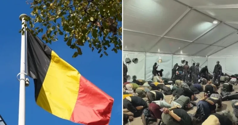 Belçika İsrail den Sumud aktivistlerine şiddet için izahat istedi Avrupa Haberleri