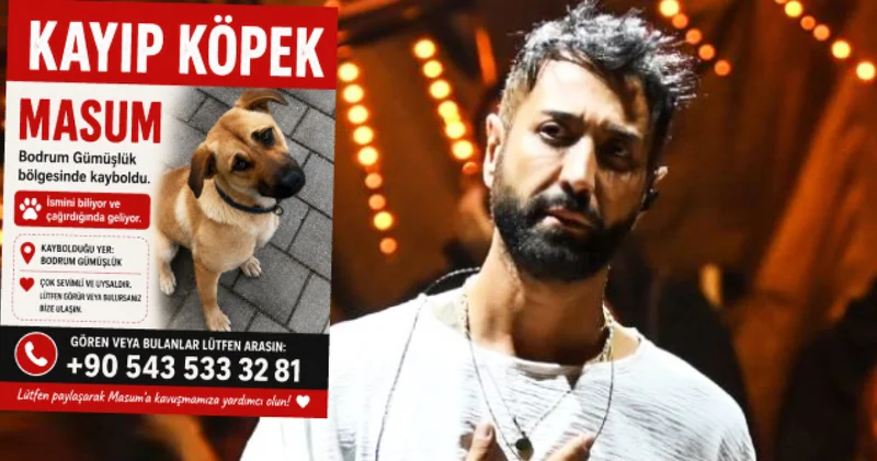 Tan Taşçı nın köpeği Bodrum da kayboldu Magazin haberleri