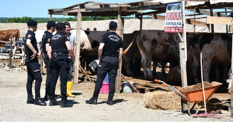 Son dakika: Tekirdağ da çıkan kurban kavgasında 5 kişi yaralandı, 5 kişi gözaltına alındı Son dakika haberleri