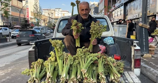 Sınırdan getirilen uçkunlar Yüksekova da satışa sunuldu Hakkari Haberleri