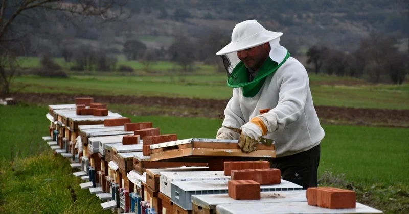 Türkiye arıcılıkta dünyada ilk üçte