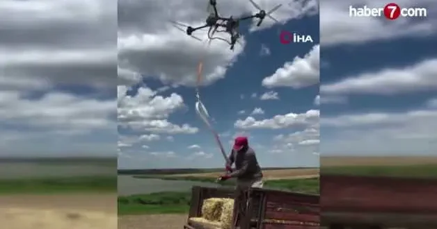Teknoloji tarlaya indi: Çiftçi dronla saman balyası taşıyor