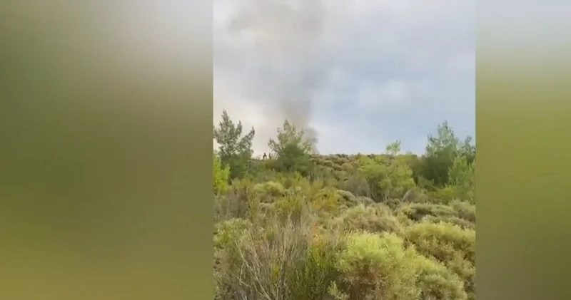 Muğla ve Aydın’da orman yangını Son dakika haberleri